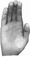 Handballen